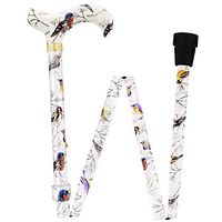 Watercolor Bird Designer Folding Adjustable Cane