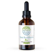 Sea Buckthorn B120 Alcohol-Free Herbal Extract Tincture, Organic Sea Buckthorn (Hippophae rhamnoides) Dried Fruit (4 fl oz)