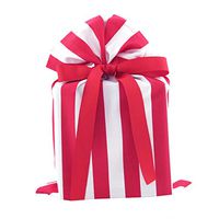 Red and White Striped Reusable Fabric Gift Bag for Birthday, Father's Day or Any Occasion (Standard 10 Inches Wide by 15 Inches High)