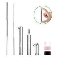 Itaar Telescopic Reusable Portable Stainless Steel Metal Drinking Straw with Travel Case & Cleaning Brush, Foldable Straw with Case for 12oz/20oz/30oz Tumbler, Silver