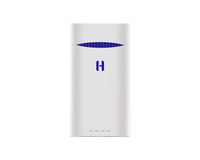 Carrying Case Backup Battery (White)