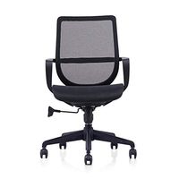 ZLFLD Office Chair Waterproof Chair Back Comfort Chair Back Back Support Chair Back Chair Computer System Back Office Chair Office Chair (Color : Black)