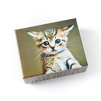 Kittens Assorted Boxed Notes (Set of 20)