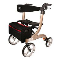 JAD@ Multifunctional Walking aids with Wheels Foldable Seat for The Elderly, Disabled People (Color : Gold)