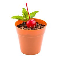 Mini Flower Pot - Terracotta Color, Premium Food Grade Plastic - 4 oz - Appetizers, Desserts, Side Dishes - Get Creative - 100ct Box - Restaurantware