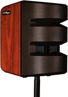 LR Baggs Synapse Personal PA System