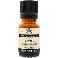 Ginger 100% Pure Essential Oil - 10 ml