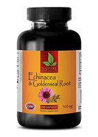 Immune System Support - Echinacea Extract & Goldenseal Root Complex - goldenseal and echinacea - 1 Bottle (60 Capsules)