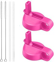 Flgoo Straw Lid for Wide Mouth Water Bottle with Straws and Brush 2 Pack (Flamingo)