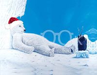 Hi-Look Microfiber Cleaning Cloth - Polar Bear