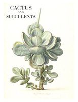 Cactus and Succulents: Boxed Set of 16 Note Cards with Envelopes