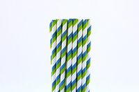 Blue and Green Striped Paper Straws (25)