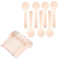 100 Pcs Disposable Wooden Teaspoon 10cm Ice Cream Dessert Spoons for Tasting and Sampling Eco-Friendly Small Wooden Spoons