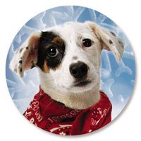 Merry Little Christmas Envelope Seals - Set of 72 Holiday Envelope Stickers