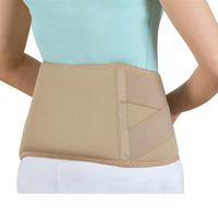 Soft Form Thermal Lumbar Support, Small