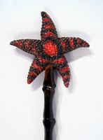 Hand Painted Back Scratcher Dark Red Starfish Bird 18"