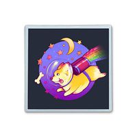 XIANN Care Contact Lens Box Holder Container Case Storage Eyecare Kit - Space Corgi