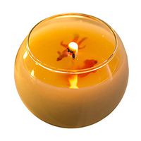 TanShine Natural Scented Candle Soy Wax With Unique Fragrance and Goldfish Decoration 3.17oz Lemon