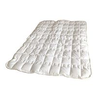 36 inch by 24 inch Magnetic Therapy Travel Mattress Pad with 45 Magnets