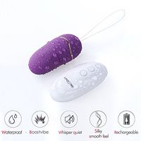 Wireless 12+1Frequency Quiet Waterproof Silicone Kegel Ball Love Egg Bullet Egg Yoni Egg for Women and Couple (1)