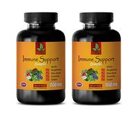 Anti inflammatory Herbal Supplement - Immune Support Complex 1550 MG - Green Tea Extract Extra Strength - 2 Bottles 120 Capsules