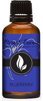 Blueberry Premium Grade Fragrance Oil - Scented Oil - 30ml