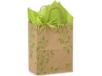 Nashville Wraps Shopping Gift Bags 25 Count - Ivy Lane - Cub