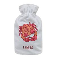 Warm Cute Hot-Water Bottle Water Bag Water Injection Handwarmer Pocket Cozy Comfort,#N