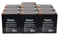 Raion Power RG1250T2 12V 5Ah Replacement UPS Backup Battery for APC RBC117-10 Pack