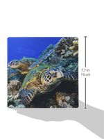3dRose LLC 8 x 8 x 0.25 Inches Mouse Pad, Green Sea Turtle (mp_46104_1)