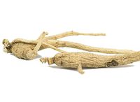 Mountain Rose Herbs - Ginseng Root Whole 1 lb
