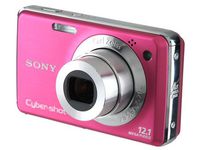 Sony Cyber-Shot Dsc-w530 12.1 Mp Digital Camera - Pink- Bundle with Case