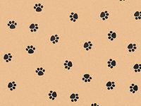 Animal Print Tissue Paper Paw Print Kraft - 240 Sheets