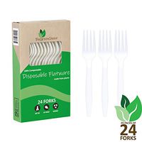 BioGreenChoice 6in. Compostable Cornstarch, CPLA Disposable Fork - Microwave Safe, Biodegradable & Compostable Fork (480 Count – 20 packs of 24)