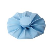 MABIS DMI Healthcare DMI Reusable Ice Bag, Large Ice Pack Bag, 11 Inches, Blue