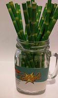 Bamboo Paper Drinking Straws 25 ct. - Twilight Parties