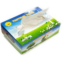 T-Rex Car Tissues, 40 Sheets 2-Ply Soft Facial Tissue Paper (24)