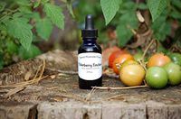 Elderberry Tincture