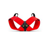 Bowtie Spud Formal Posture Support Brace No Rounded Shoulders Donnie Thompson (3XL: 275 lbs. – 300 lbs.)