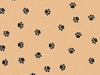 Soft"Bird Branch" Birds On White Art DIY Crafts Tissue Paper for Gift Wrapping 20"X30" 5 Sheets