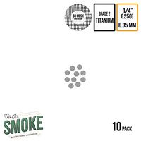 1/4 Inch Pipe Screens - Exceptional Quality Titanium Wire Mesh Filters (10 Pack)