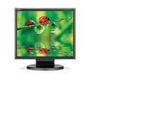 NEC LCD175M-BK 17" LCD Desktop Monitor with Built-In Speakers