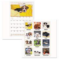 AT-A-GLANCE Visual Organizer Recycled Puppies Wall Calendar, Large Wall, 2012 (DMW167-28)