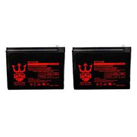 12V 10AH Battery for Lashout 24 Volt 400 Watt Scooter by Neptune - 2 Pack
