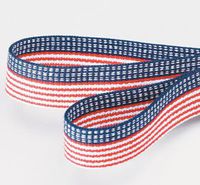Alimed SkiL-Care Stars & Stripes Gait Belts (60" Plastic Buckle, Stars 'N Stripes)