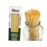 AITIME Disposable Drinking Wheat Straws, All Natural Biodegradable Material, Alternative to Plastic Straws, 100 Count 7.9 Inches