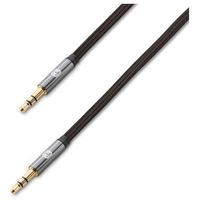 LIFEWORKS TECHNOLOGY GROUP IH-CT2500B 5' Male Audio Cable, Black