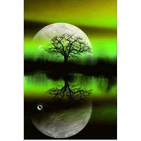 Meidexian888 DIY Diamond Painting, Embroidery Paintings Rhinestone Pasted DIY Diamond Painting Cross Stitch (C)