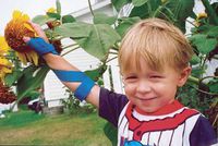 McKie Thumb Splintand Supinator Straps. - Pediatric Thumb Splintyal Blue: P2 Right