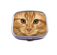 We and You Orange Tabby Cat Customized Pill Box case Holder Durable Stainless Steel Box case Gift for Pocket or Purse